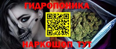 кокс Ставрополь