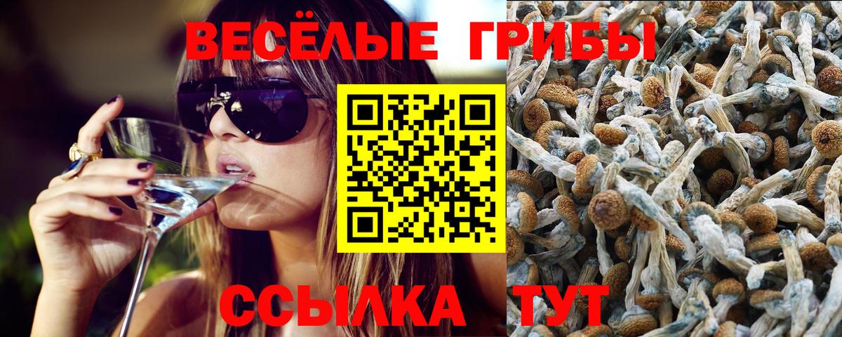 Галлюциногенные грибы Cubensis  Вход с VPN  Галлюциногенные грибы GOLDEN TEACHER  Мытищи 