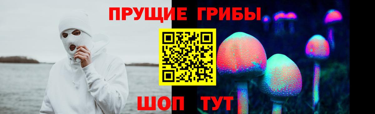 Псилоцибиновые грибы MAGIC MUSHROOMS Мытищи